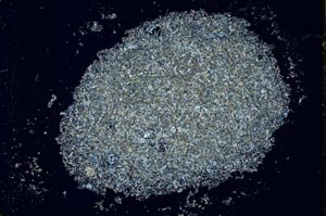 Cross Polarized, S26623