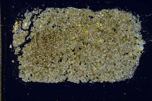 Cross Polarized, S26624