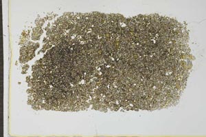 Plane Polarized, S26624