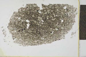 Plane Polarized, S26625