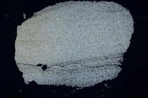 Cross Polarized, S26626