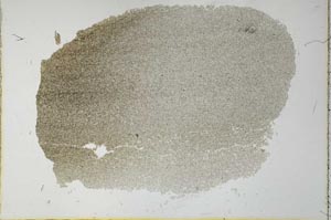 Plane Polarized, S26626