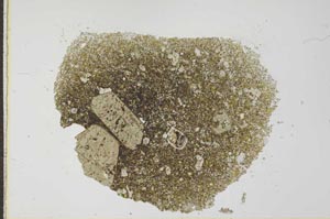 Plane Polarized, S26632