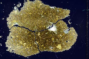 Cross Polarized, S26637