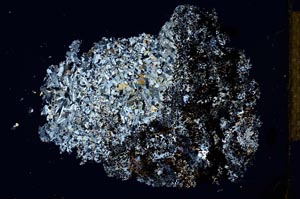 Cross Polarized, S26671