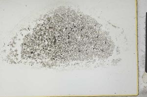Plane Polarized, S26676
