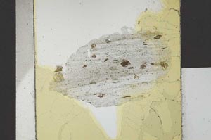 Plane Polarized, S26693