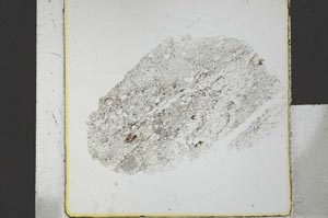 Plane Polarized, S26694