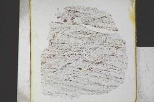 Plane Polarized, S26704