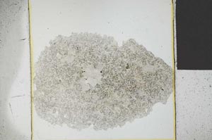 Plane Polarized, S26751