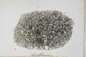 Plane Polarized, S26755