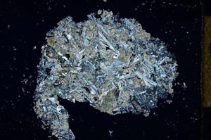 Cross Polarized, S26759