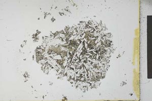 Plane Polarized, S26763