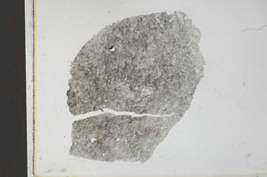 Plane Polarized, S26766