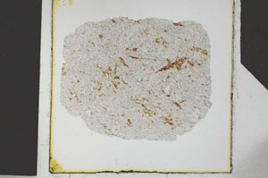 Plane Polarized, S26773