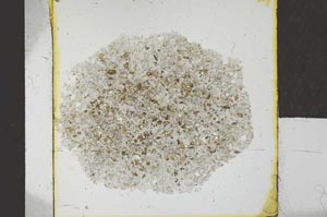 Plane Polarized, S26787