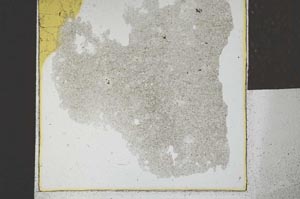 Plane Polarized, S26789