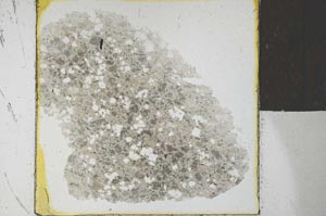 Plane Polarized, S26793