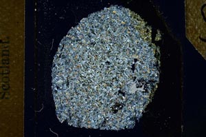 Cross Polarized, S26821