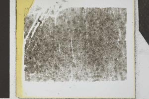 Plane Polarized, S26861