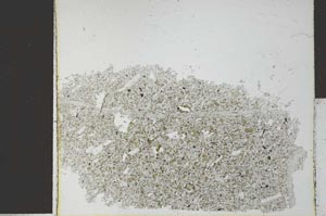 Plane Polarized, S26865