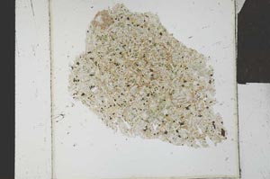 Plane Polarized, S26866