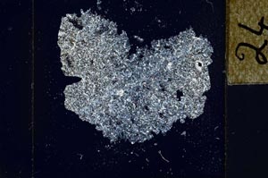 Cross Polarized, S26868