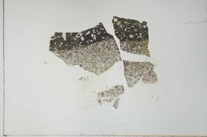 Plane Polarized, S26890