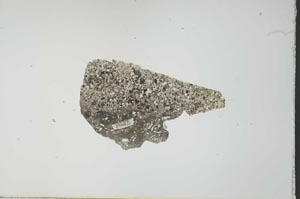 Plane Polarized, S26891