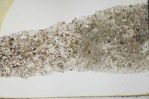 Plane Polarized, S26896