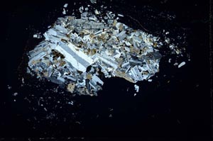 Cross Polarized, S26897