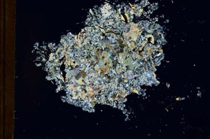 Cross Polarized, S26898