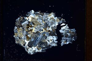 Cross Polarized, S26899