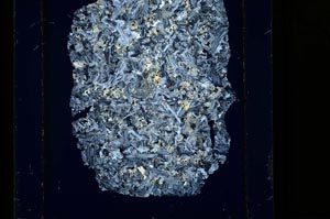 Cross Polarized, S26900