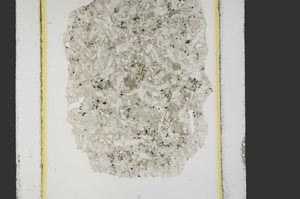 Plane Polarized, S26900