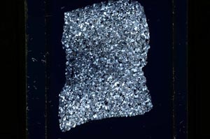 Cross Polarized, S26901