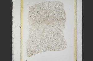 Plane Polarized, S26901