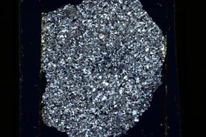 Cross Polarized, S26902