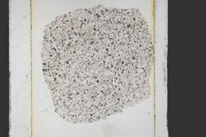 Plane Polarized, S26903