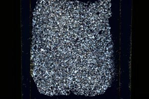 Cross Polarized, S26904