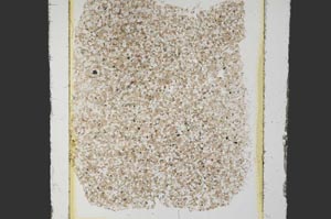 Plane Polarized, S26904