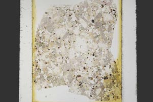 Plane Polarized, S26905