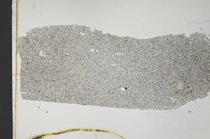 Plane Polarized, S26908