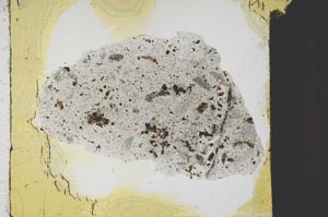 Plane Polarized, S26917