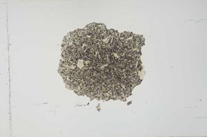 Plane Polarized, S26922