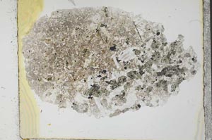 Plane Polarized, S26923