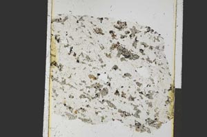 Plane Polarized, S26924