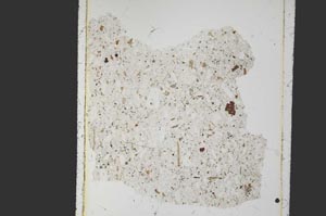 Plane Polarized, S26925