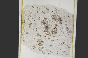 Plane Polarized, S26934