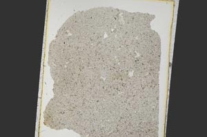 Plane Polarized, S26935